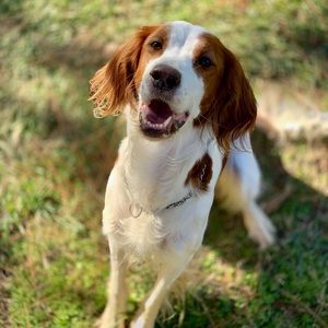 Meet your Posher, Whitney